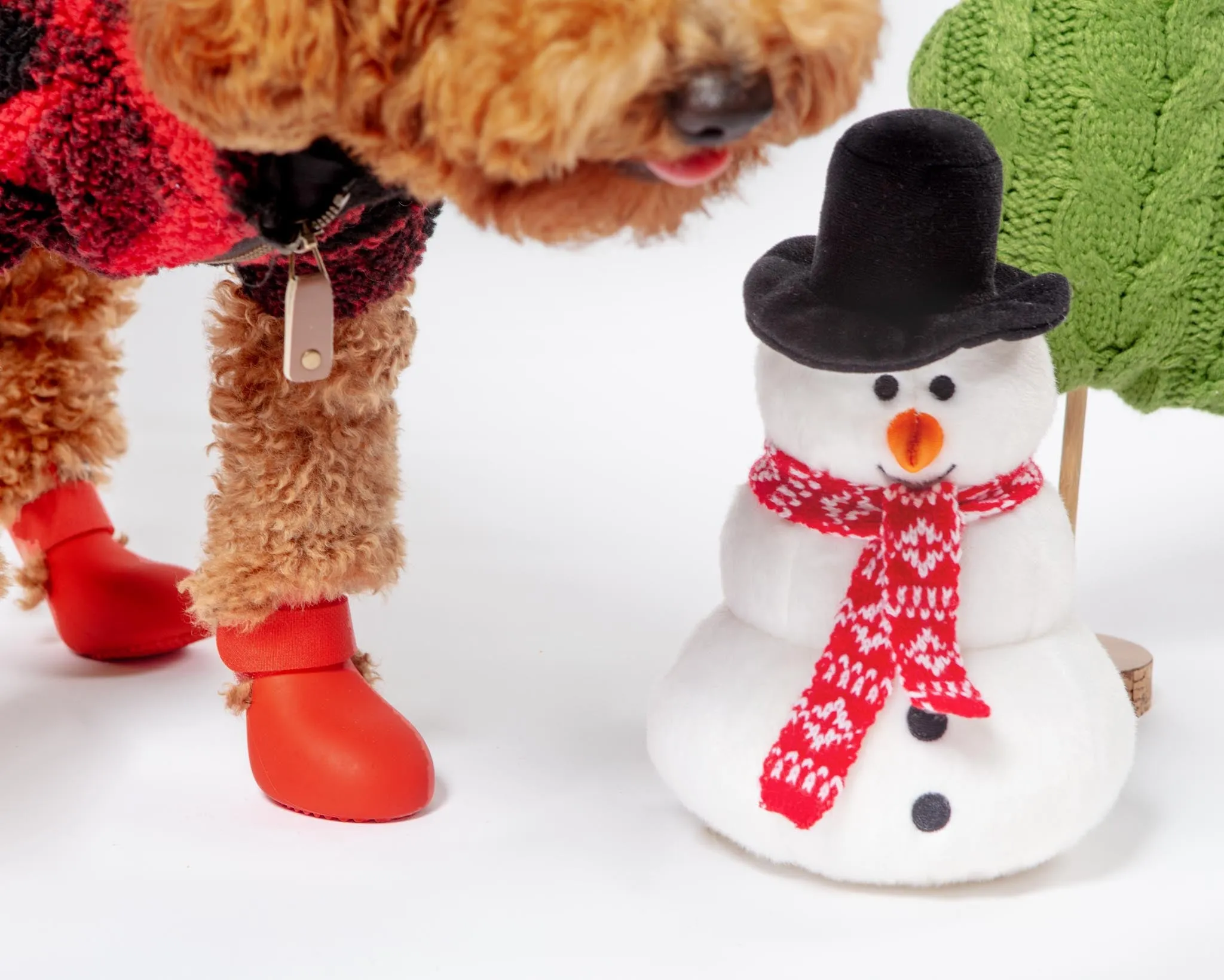 Jack Snowman Plush Dog Toy