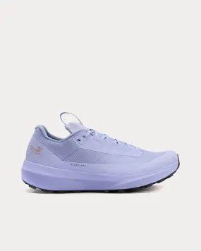 Norvan LD 4 GTX Moonstone / Moonstone Running Shoes