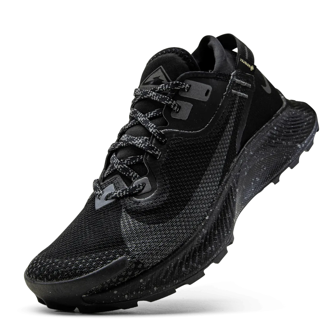 Pegasus Trail 2 GORE-TEX Black/Grey